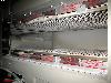  GLENRO Infra Red oven,